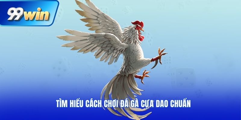 Tìm hiểu cách chơi đá gà cựa dao chuẩn